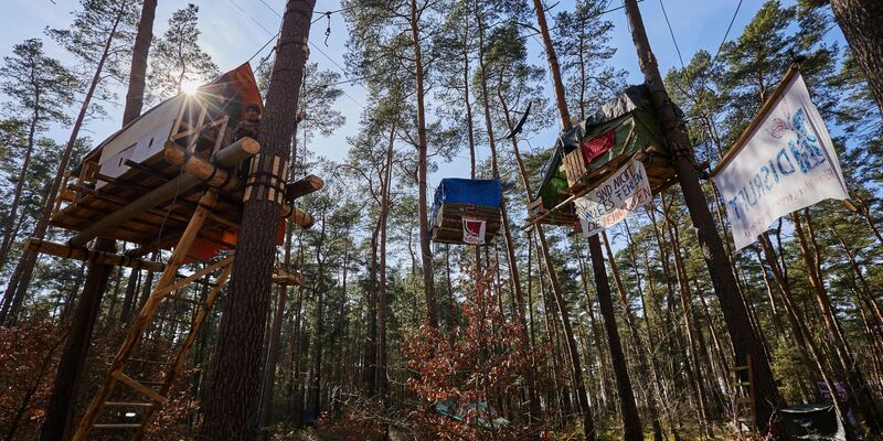 Blick ins Protest-Camp der Initiative «Tesla stoppen» in einem Kiefernwald nahe der Tesla-Gigafactory Berlin-Brandenburg. - Foto: Jörg Carstensen/dpa