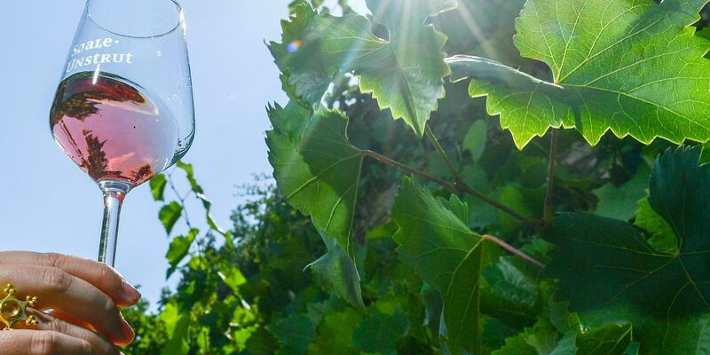 Rosé-Wein wird gerne getrunken. - Foto: Jens Kalaene/dpa