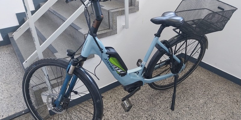 POL-PDLU: Speyer - Sicherstellung eines Pedelecs, Eigentümer gesucht - Foto: presseportal.de