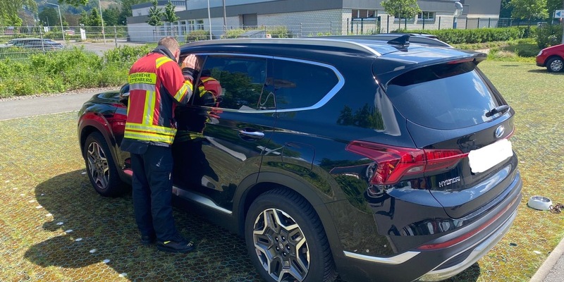 FW-PL: Feuerwehr befreit Hund aus überhitztem Auto. Besitzer genießt den Tag im Freizeitbad. - Foto: presseportal.de
