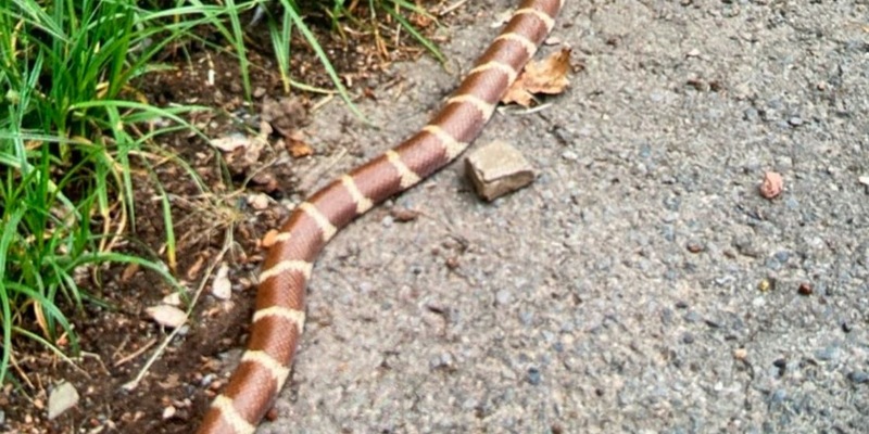 POL-OF: 31-Jähriger soll sich unsittlich gezeigt haben; Gegenstand gegen fahrendes Auto geworfen: Vorläufige Festnahme; VW-Fahrer wird über die Leitplanke in Böschung geschleudert und mehr - Foto: presseportal.de