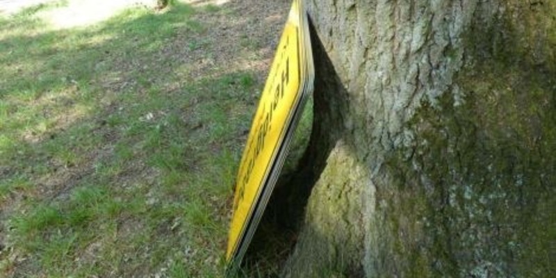 POL-SE: Heede - Frau findet Ortstafeln im Naherholungsgebiet Heeder Tannen - Foto: presseportal.de