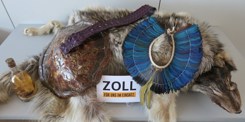 HZA-N: 22. Mai 2024- Internationaler Tag der biologischen Vielfalt Zoll leistet wichtigen Beitrag zum Schutz bedrohter Tiere und Pflanzen - Foto: Zoll, presseportal.de