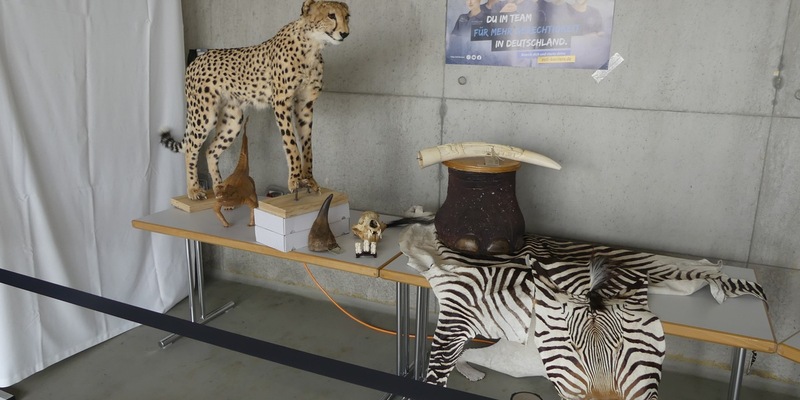 HZA-R: Tag der biologischen Vielfalt - Zoll leistet wichtigen Beitrag zum Schutz bedrohter Tiere und Pflanzen - Foto: presseportal.de