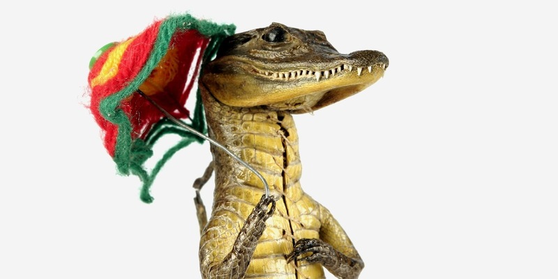 HZA-M: 22. Mai 2024- Internationaler Tag der biologischen Vielfalt Zoll leistet wichtigen Beitrag zum Schutz bedrohter Tiere und Pflanzen - Foto: presseportal.de