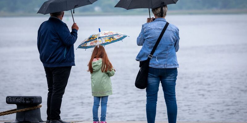 Dringend benötigt: Regen in der Landwirtschaft.  - Foto: Jens Büttner/dpa