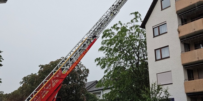FW-Radolfzell: Brand nach Blitzeinschlag - Foto: presseportal.de