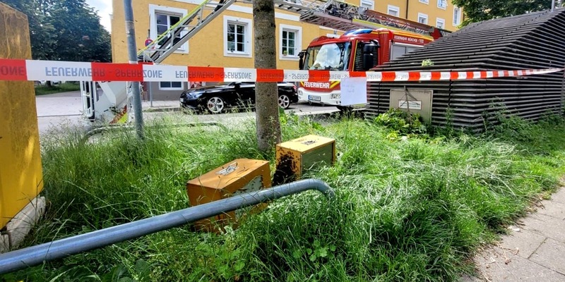 FW-M: Riesiger Bienenschwarm im Baum (Bogenhausen) - Foto: presseportal.de