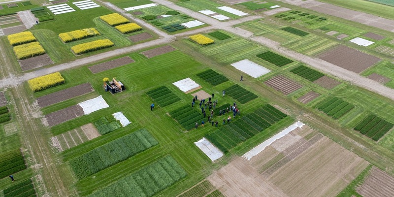 DLG-Feldtage: Landwirtschaftliche Fachmesse lockt ins Freiland - Foto: presseportal.de