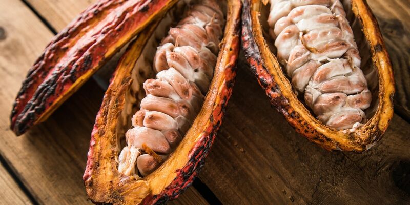 Halbierte Kakaofrüchte, im Inneren gut zu sehen: die Kakaosamen. - Foto: Christin Klose/dpa-tmn/dpa