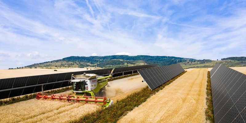 Spanischer Solarpark versorgt VELUX mit grüner Energie und kombiniert Agri-PV mit Biodiversität - Foto: presseportal.de