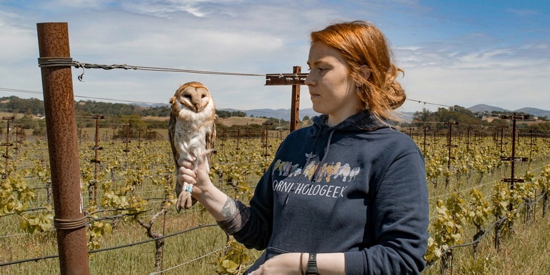 Der MDR zum Weltumwelttag: „Gute Nachrichten vom Planeten“ - Foto: presseportal.de