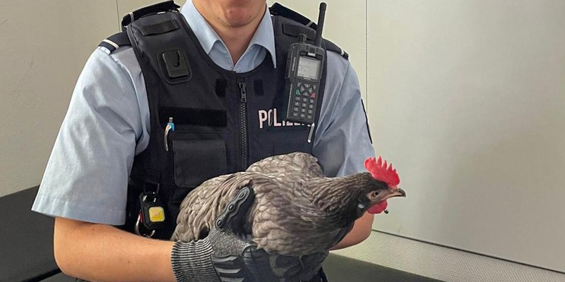 POL-BO: Gefiederter Ausreißer hält Polizei und Anwohner auf Trab - Festnahme! - Foto: presseportal.de