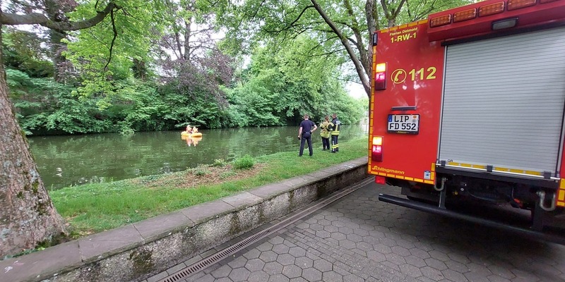 FW-DT: Detmolder Schlossgraben: Todesfall eines Schwanenkükens - Wildtiere nicht füttern! - Foto: presseportal.de