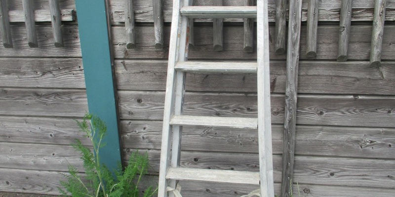 POL-EL: Wietmarschen - Leiter verloren (Foto) - Foto: presseportal.de