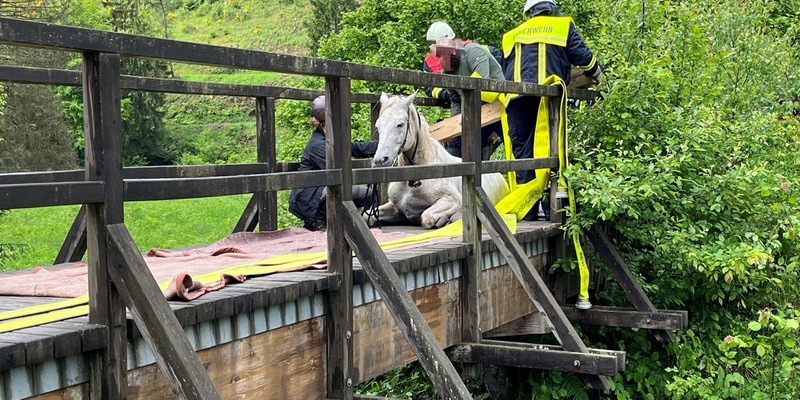 POL-PDTR: Verunglücktes Pferd im Wadrilltal - Foto: presseportal.de