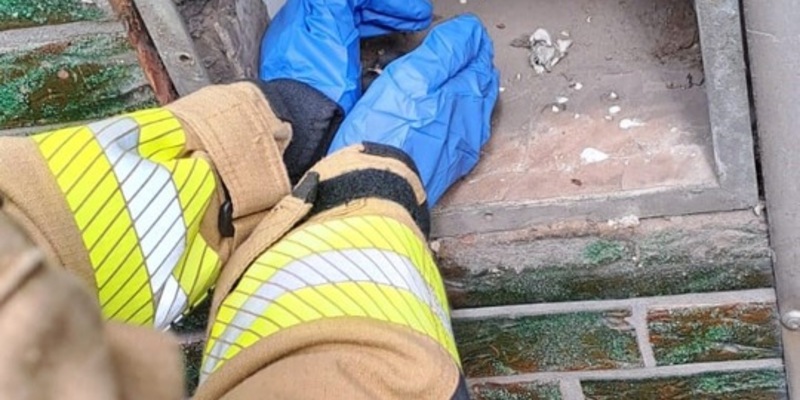 FW-GE: Tierrettung an Fronleichnam - Foto: presseportal.de