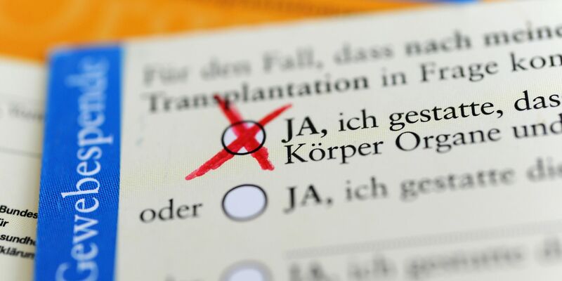 Die Rückseite eines ausgefüllten Organspendeausweises. Das Zustimmungsfeld ist angekreuzt. - Foto: Marie Reichenbach/dpa