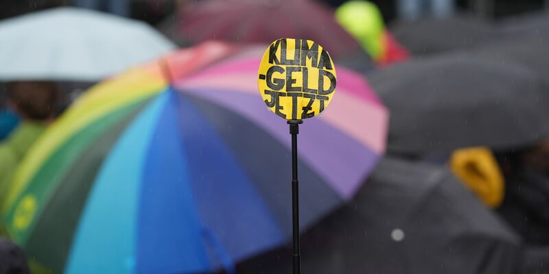 Teilnehmer protestieren während des Klimastreiks von Fridays for Future in Hamburg. - Foto: Marcus Brandt/dpa