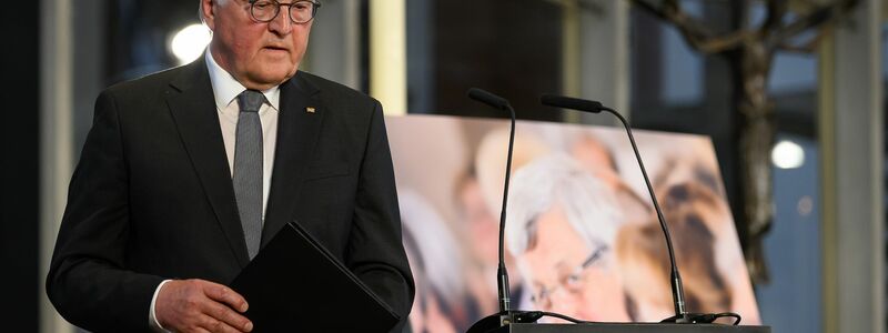 Bundespräsident Frank-Walter Steinmeier spricht bei der Gedenkfeier zum fünften Todestag von Walter Lübcke. - Foto: Swen Pförtner/dpa