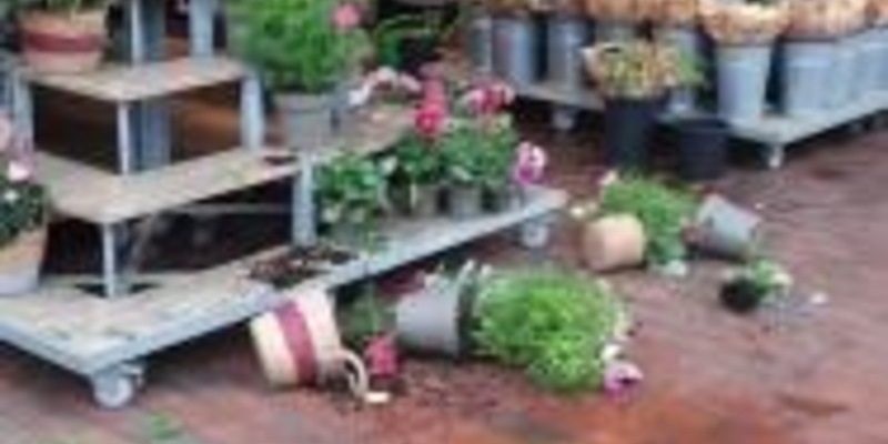 BPOL-FL: NMS - Mann wirft am Bahnhof mit Blumenkübel um sich - Foto: presseportal.de