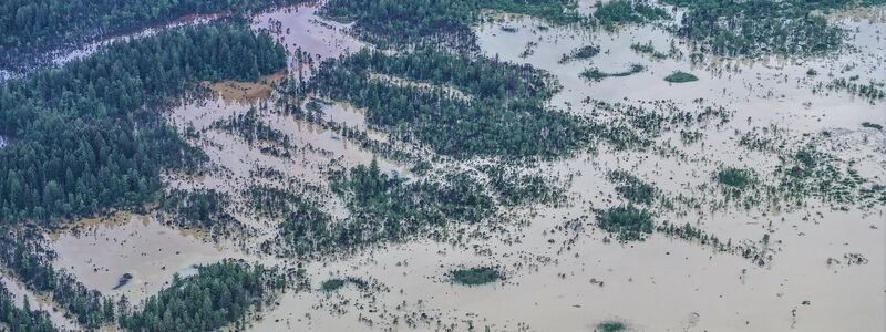 Im Bereich Taufach und Fetzachmoos sind Teile der Landschaft überschwemmt (Aufnahme mit einer Drohne). - Foto: Jason Tschepljakow/dpa