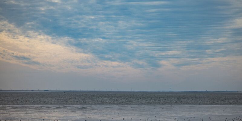 Die Wassertemperatur der Nordsee steigt. - Foto: Axel Heimken/dpa