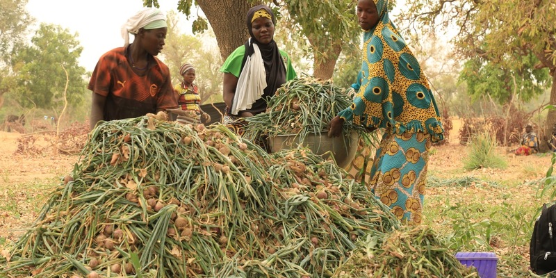 Fokus Sahel Konferenz 10.-12. Juni 2024 / Hilfsorganisationen warnen vor multiplen Krisen und Hilfskürzungen im Sahel - Foto: presseportal.de
