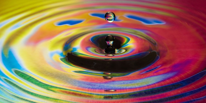 Erstes Lesekonzept für den Deutschunterricht mit Fokus auf Bildung für nachhaltige Entwicklung (BNE) vorgestellt - Foto: presseportal.de