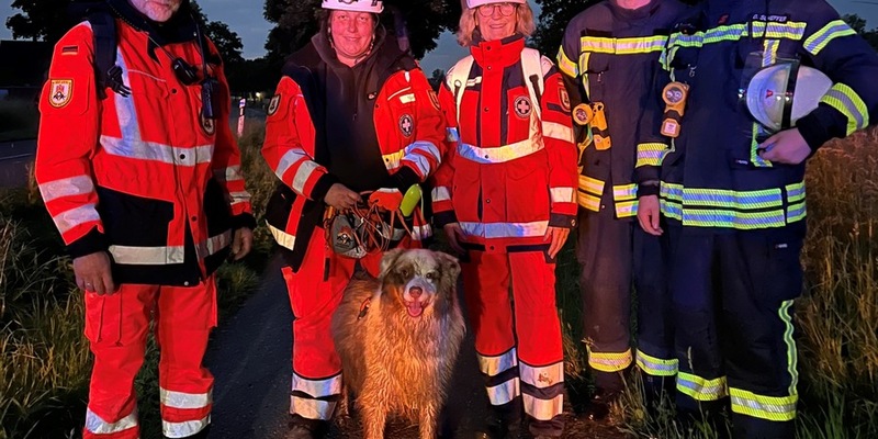 POL-UN: Selm - Vermisster Senior wurde nach umfangreichen Suchmaßnahmen von Flächensuchhund aufgefunden - Foto: presseportal.de