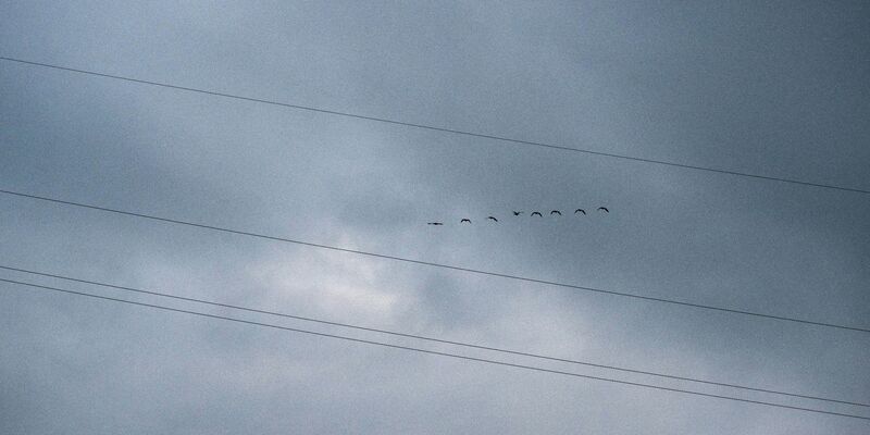 Der Wettertrend für Deutschland: Regen und Gewitter. - Foto: Pia Bayer/dpa