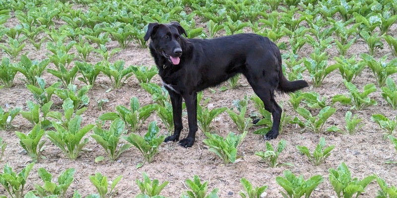 POL-HN: Pressemitteilung des Polizeipräsidiums Heilbronn vom 06.06.2024 mit Berichten aus dem Neckar-Odenwald-Kreis - Foto: presseportal.de