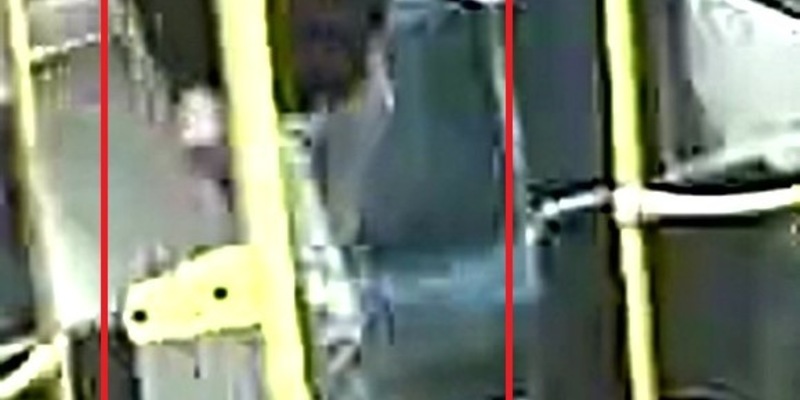 POL-NMS: 240802-1-pdnms Raubüberfall auf ältere Dame in ihrem eigenen Garten, Zeugen gesucht - Foto: presseportal.de