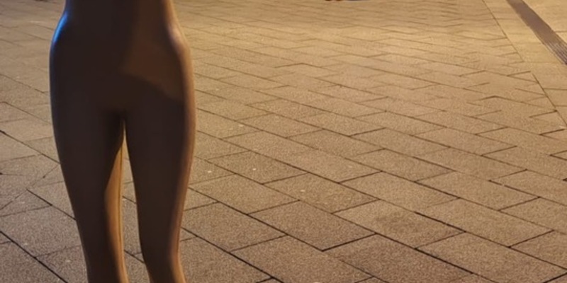 LPI-NDH: Schlechter Scherz, Werbeaktion oder Kunst - Foto: presseportal.de