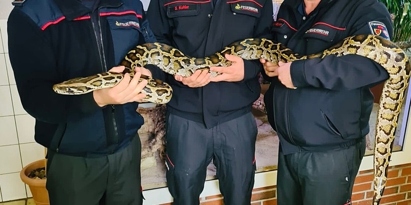 FW Böblingen: Erster Einsatz für die Fachgruppe Schlangen und Reptilien - Foto: presseportal.de