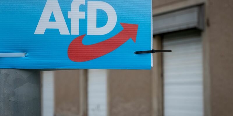Wahlplakat der AfD. - Foto: Hendrik Schmidt/dpa-Zentralbild/dpa