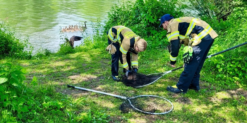 FW-EN: Sieben Kleineinsätze - Tierrettungen - hilflose Personen hinter Wohnungstüren und Kleinbrand mit Live Video - Foto: presseportal.de