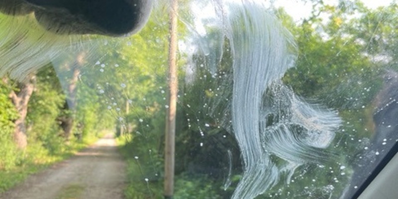 POL-NB: Pferde mögen Streifenwagen - Foto: presseportal.de