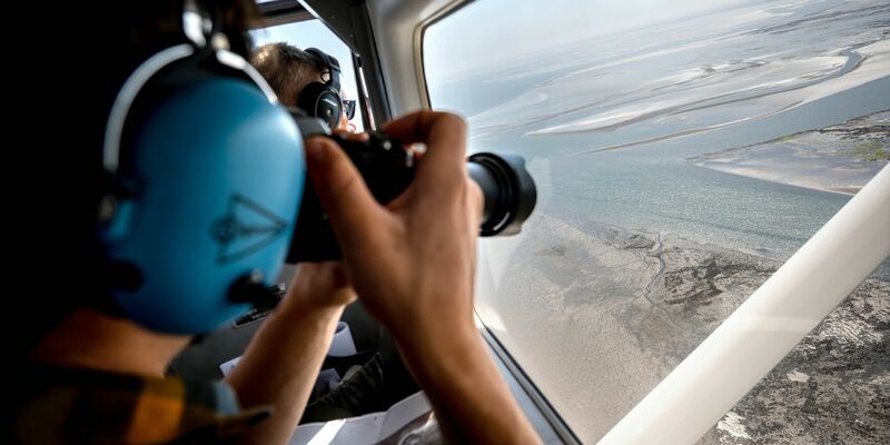 Aus der Luft zählen und fotografieren Experten Alt- und Jungtiere, die sich bei Ebbe ausruhten. - Foto: Sina Schuldt/dpa