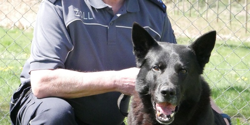 HZA-UL: Immer auf der Suche - Zollhundetrainer Dieter Lohr geht nach 48 Dienstjahren in den Ruhestand - Foto: presseportal.de