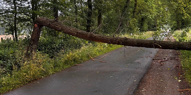 FW-Schermbeck: Sturmschaden - Foto: presseportal.de