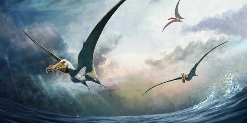 Die künstlerische Darstellung zeigt den Flugsaurier Haliskia peterseni. Der gewaltige Flugsaurier habe laut Forschenden eine Flügelspannweite von geschätzt etwa 4,6 Metern gehabt. - Foto: Gabriel Ugueto/Gabriel Ugueto via EurekAlert/dpa