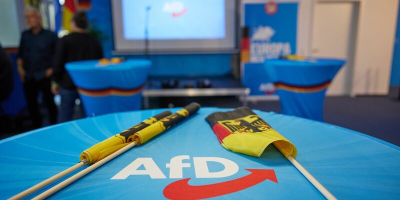 Wie geht es weiter für die AfD im EU-Parlament? Die ID-Fraktion trennte sich kurz vor der Europawahl von der Partei. - Foto: Jörg Carstensen/dpa