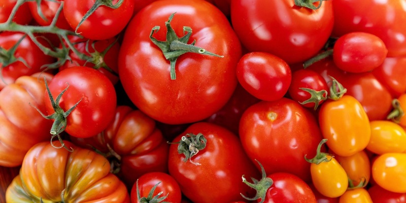 ZDF-Doku über das Lieblingsgemüse der Deutschen: planet e.: Genuss mit Beigeschmack – Tomaten - Foto: presseportal.de