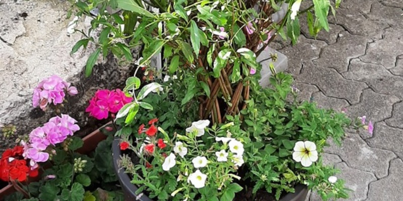 POL-SI: Polizei überführt Blumendieb und sucht nun Besitzer von entwendeten Pflanzkübeln - #polsiwi - Foto: presseportal.de