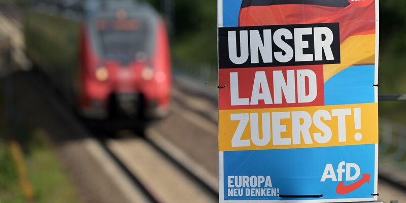 Ein Wahlplakat der AfD für die Europawahl. - Foto: Michael Bahlo/dpa