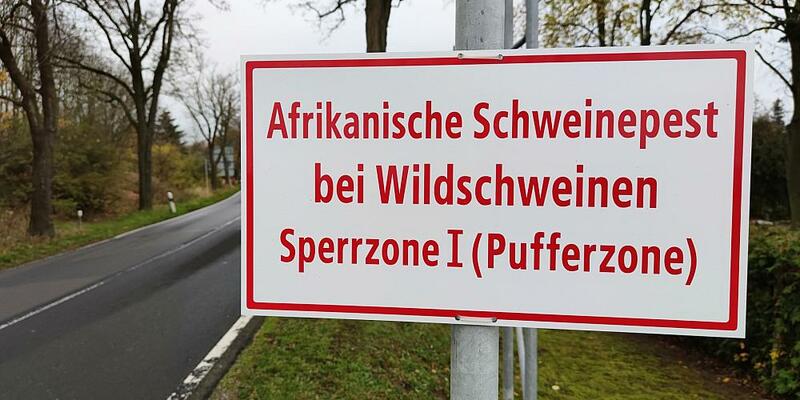 Warnschild Afrikanische Schweinepest (Archiv) - Foto: über dts Nachrichtenagentur