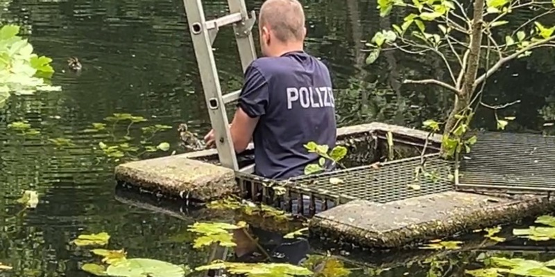 POL-PDTR: Ente gut, alles gut.... spektakuläre Entenbabyrettung am Schlossweiher - Foto: presseportal.de