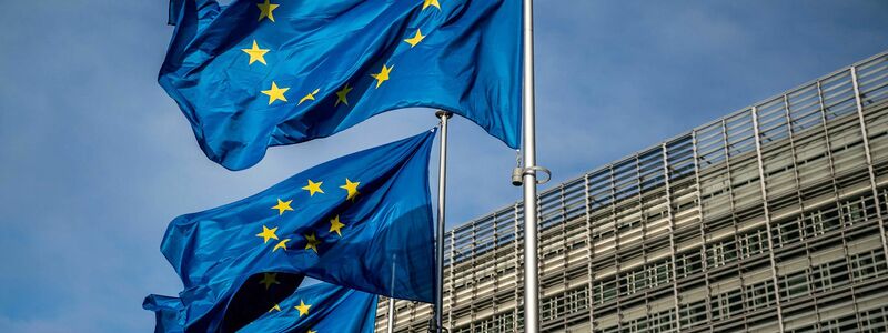 Die EU soll nach Einschätzung von deutsch-französischen Ökonomen Freihandelsabkommen vorantreiben. (Archivbild) - Foto: Michael Kappeler/dpa