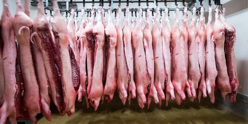 China erschwert mit Zöllen den Import von Schweinefleisch aus der EU. (Symbolbild) - Foto: Christian Charisius/dpa